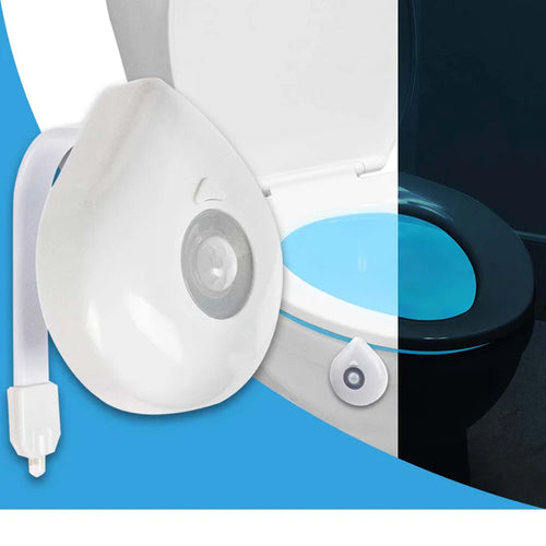 Exploring the Convenience of a Toilet Bowl Motion Sensor