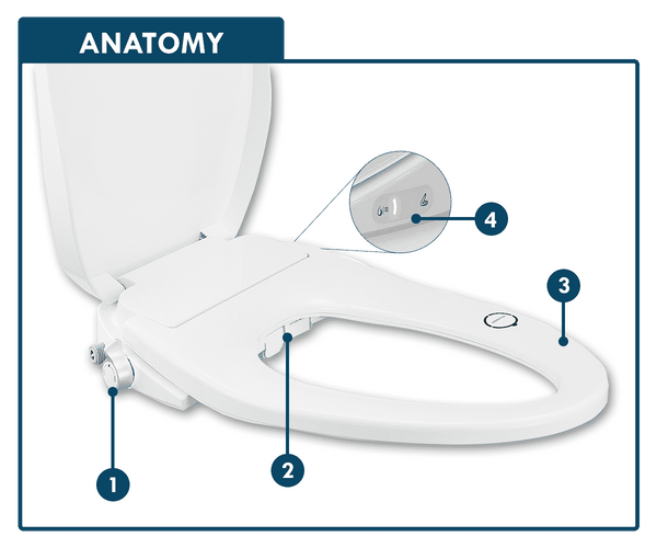 Butt Buddy Suite Smart Bidet Toilet Seat Attachment Warm and Cool Fresh Water Sprayer Product Listing Banner Image Features Anatomy In My Bathroom IMB